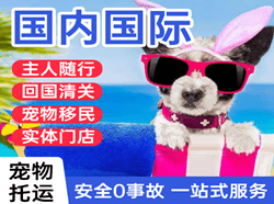 沙堤机场邮寄国际宠物托运 【国